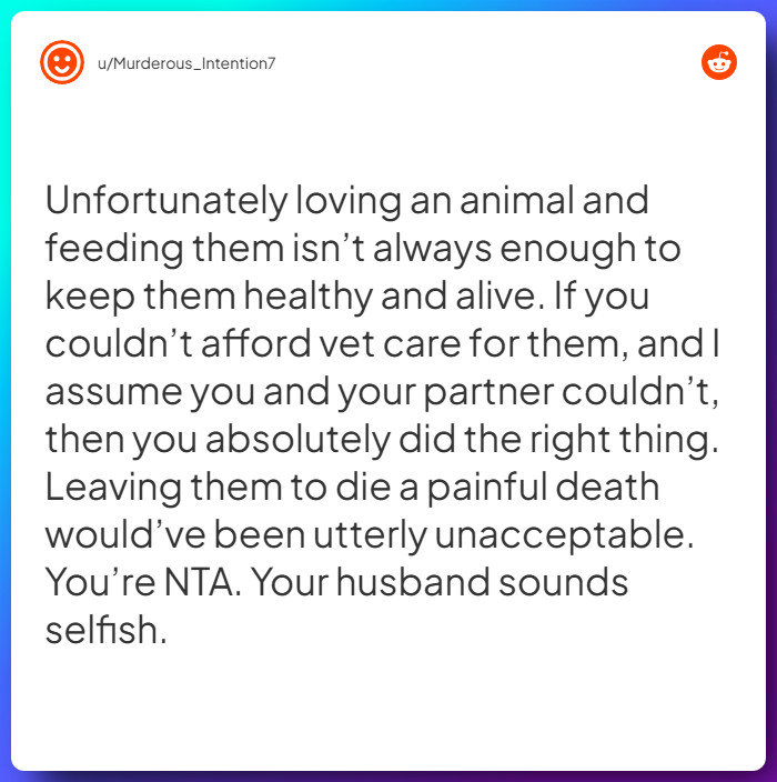 Comment from u/Murderous_Intention7