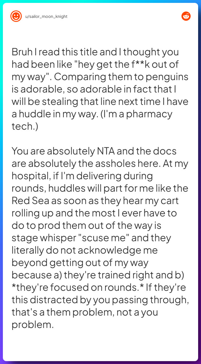 Comment from u/sailor_moon_knight