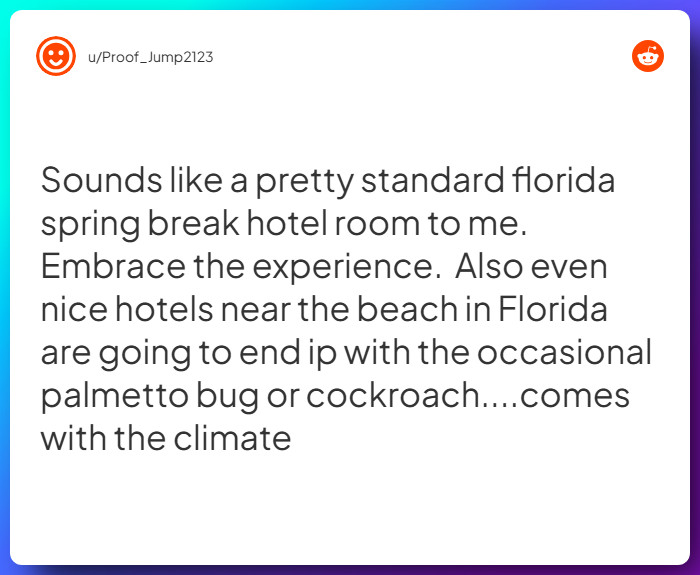 Comment from u/Proof_Jump2123