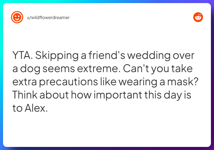 Comment from u/wildflowerdreamer