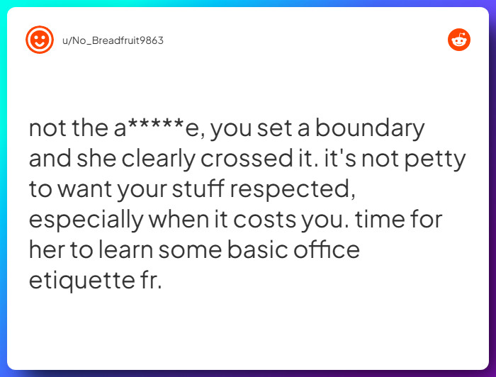 Comment from u/No_Breadfruit9863