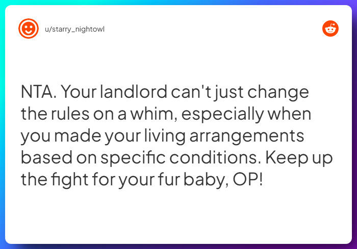 Comment from u/starry_nightowl