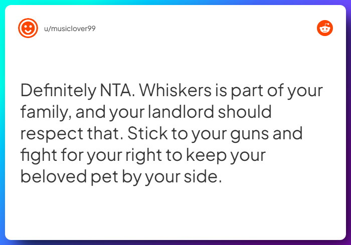 Comment from u/musiclover99