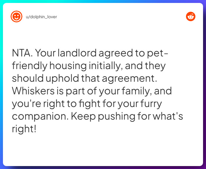 Comment from u/dolphin_lover