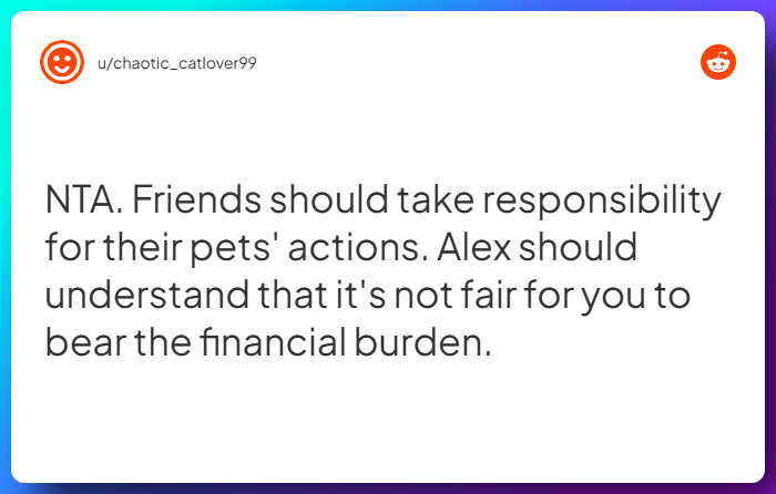 Comment from u/chaotic_catlover99