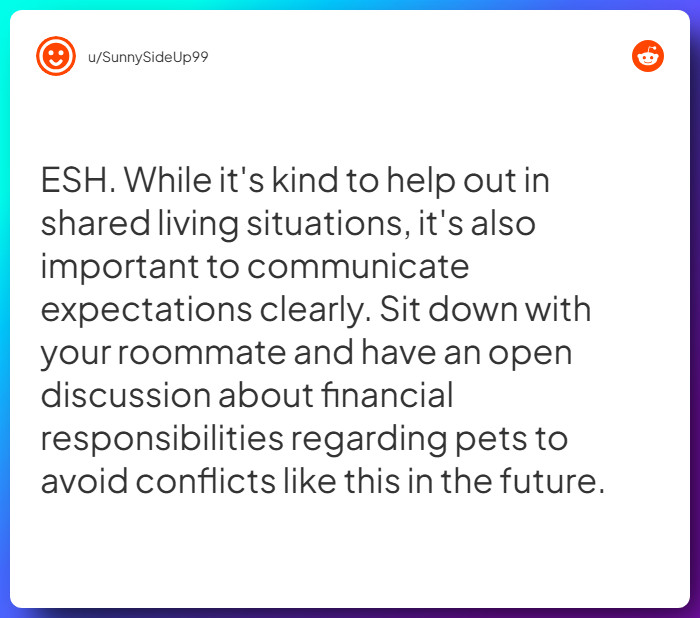 Comment from u/SunnySideUp99