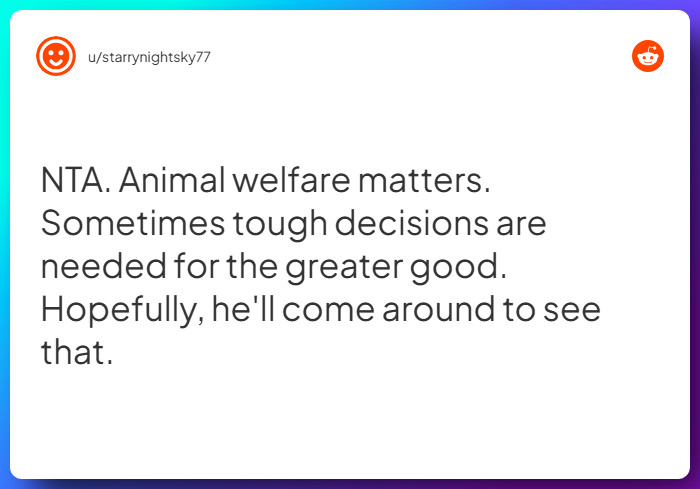 Comment from u/starrynightsky77