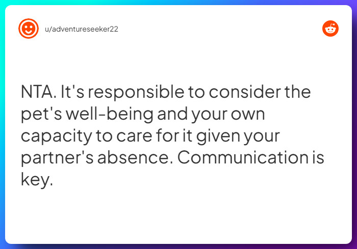 Comment from u/adventureseeker22