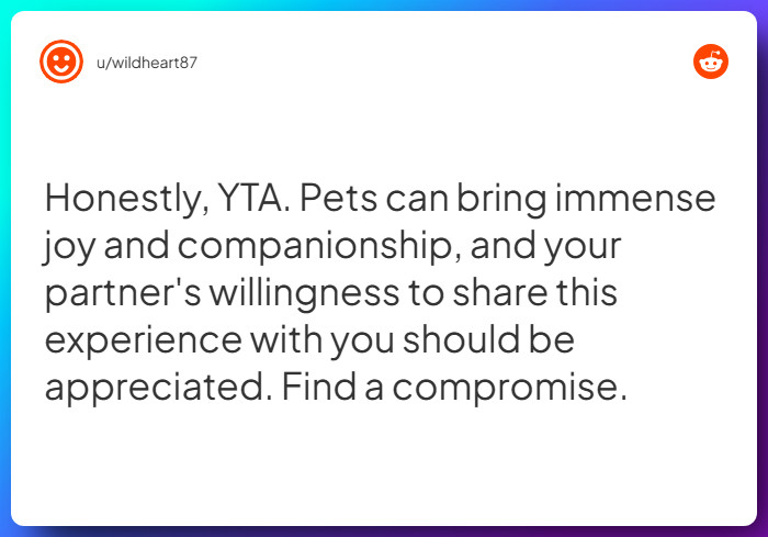 Comment from u/wildheart87