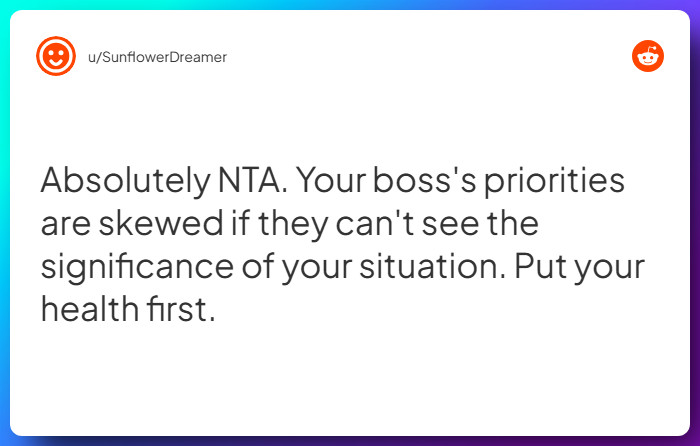 Comment from u/SunflowerDreamer