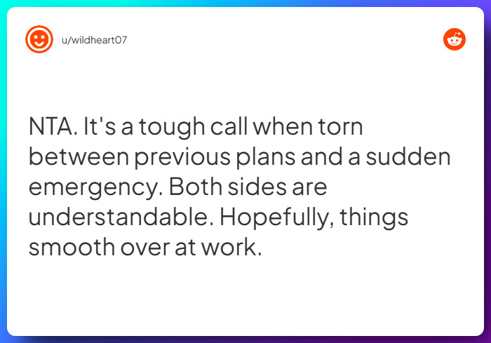 Comment from u/wildheart07