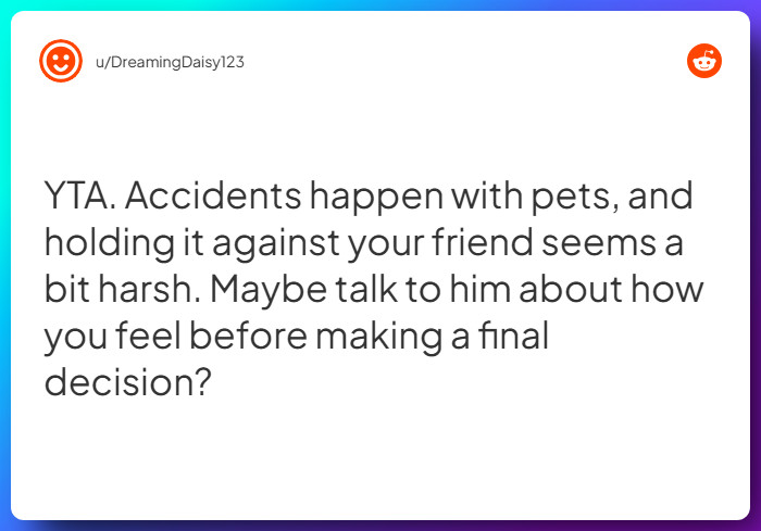 Comment from u/DreamingDaisy123