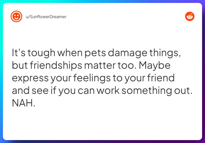 Comment from u/SunflowerDreamer