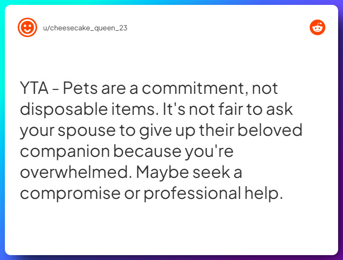 Comment from u/cheesecake_queen_23