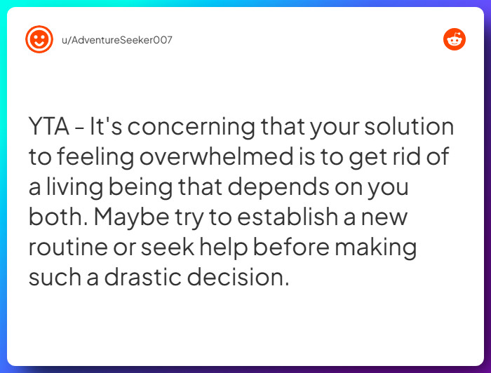 Comment from u/AdventureSeeker007