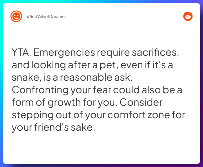 Comment from u/RedVelvetDreamer