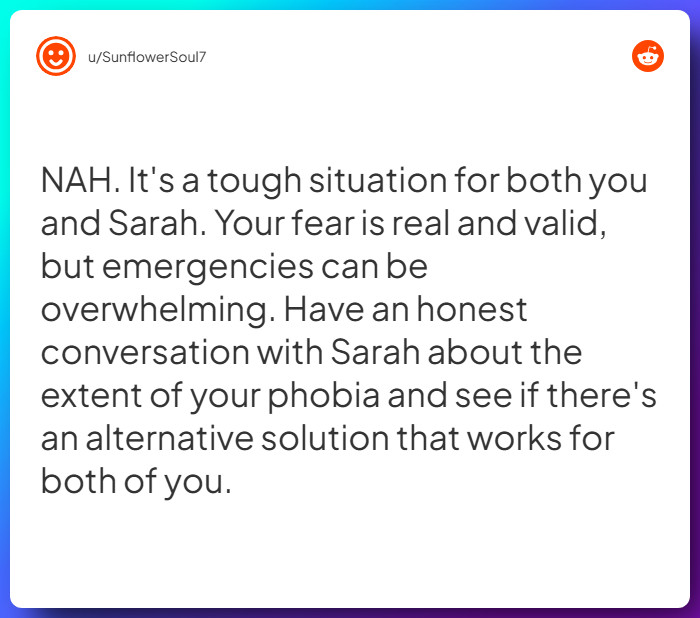 Comment from u/SunflowerSoul7