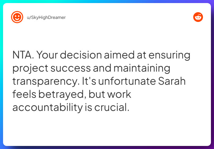 Comment from u/SkyHighDreamer