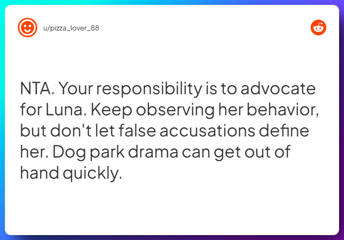 Comment from u/pizza_lover_88