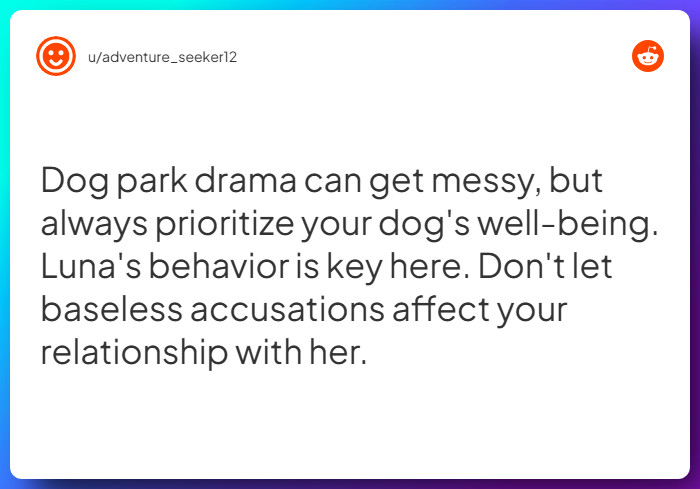 Comment from u/adventure_seeker12