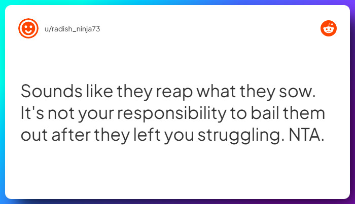 Comment from u/radish_ninja73