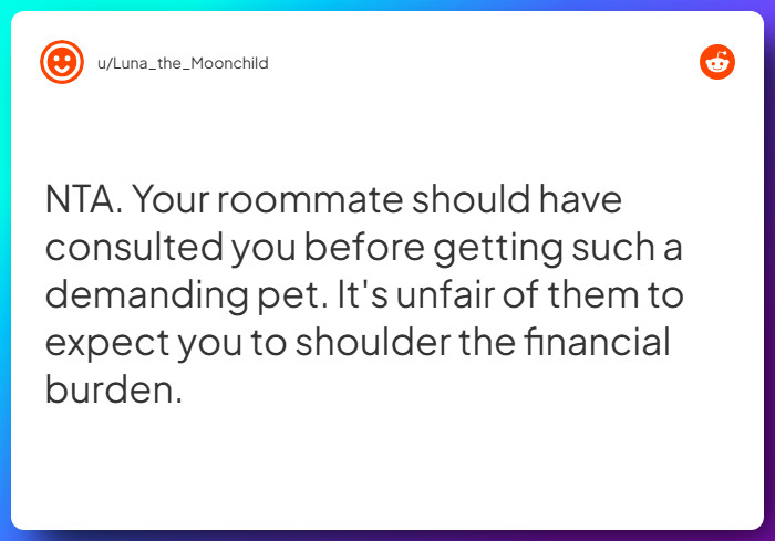 Comment from u/Luna_the_Moonchild