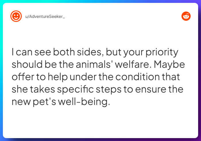 Comment from u/AdventureSeeker_