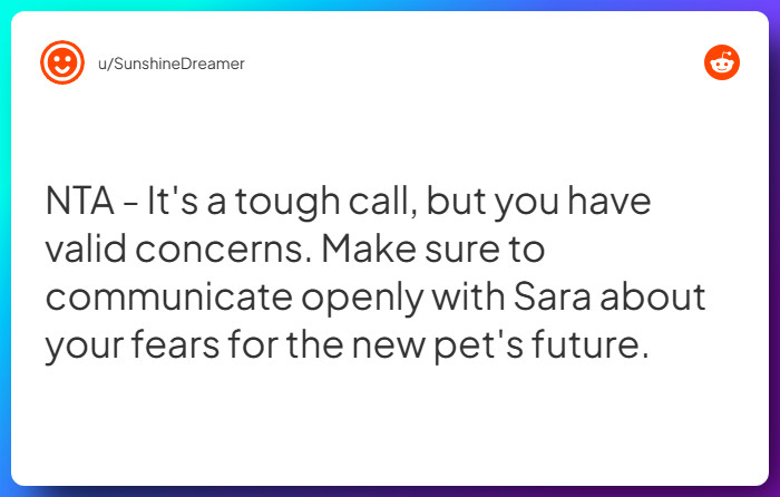 Comment from u/SunshineDreamer