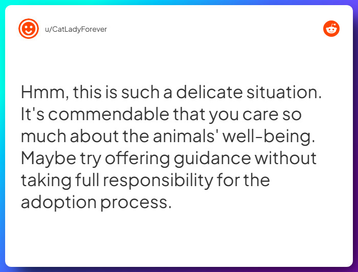 Comment from u/CatLadyForever