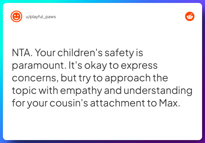 Comment from u/playful_paws