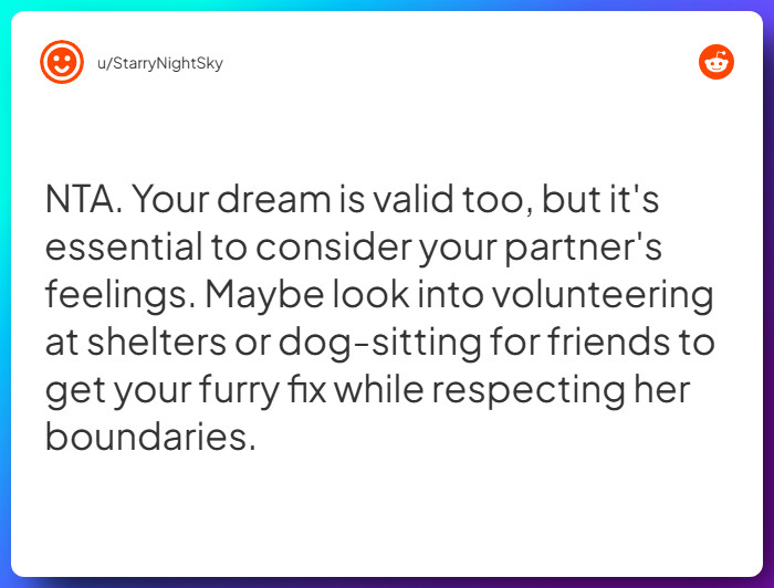 Comment from u/StarryNightSky