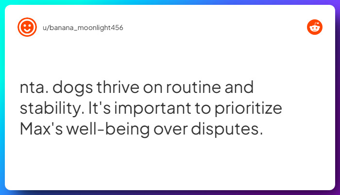 Comment from u/banana_moonlight456