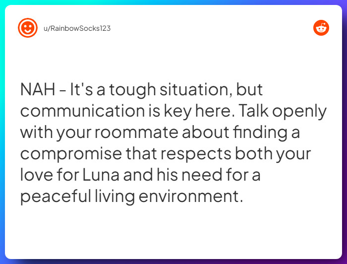 Comment from u/RainbowSocks123