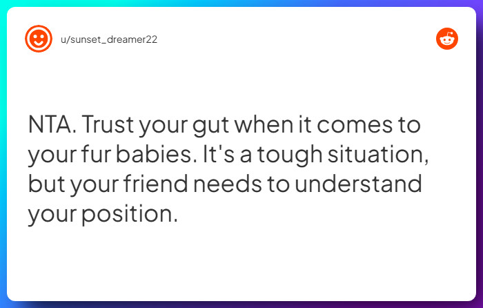 Comment from u/sunset_dreamer22