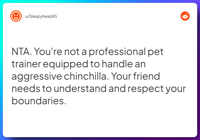 Comment from u/Sleepyhead45