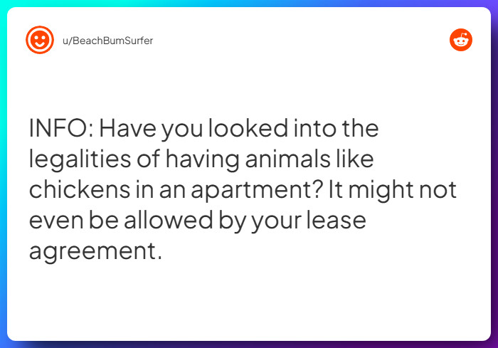 Comment from u/BeachBumSurfer