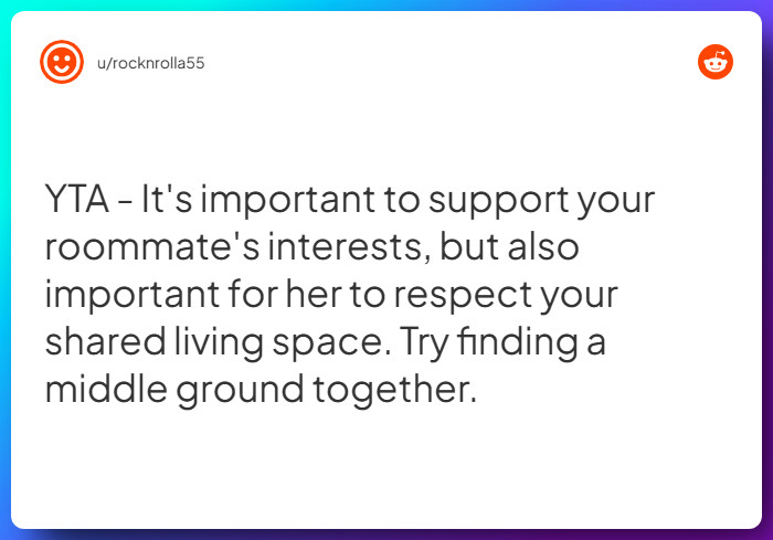 Comment from u/rocknrolla55