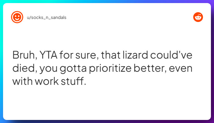 Comment from u/socks_n_sandals