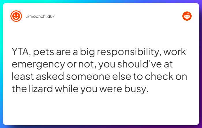 Comment from u/moonchild87