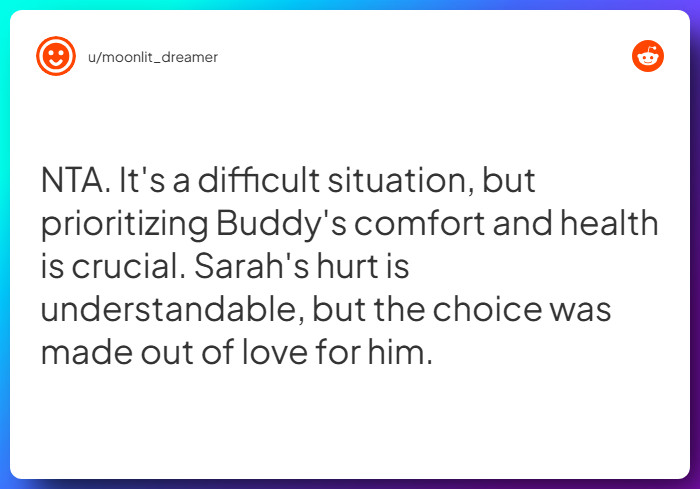 Comment from u/moonlit_dreamer