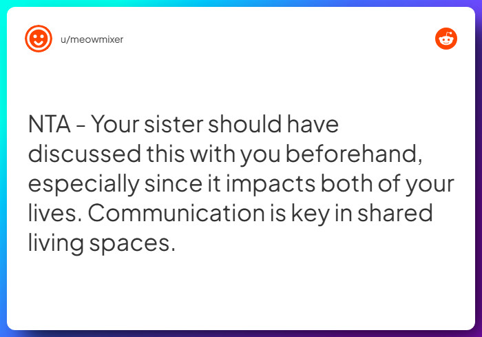 Comment from u/meowmixer