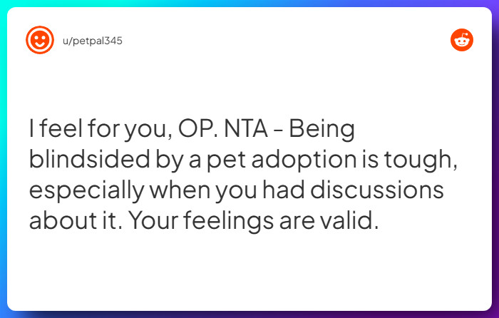 Comment from u/petpal345