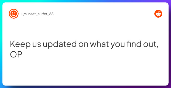 Comment from u/sunset_surfer_88