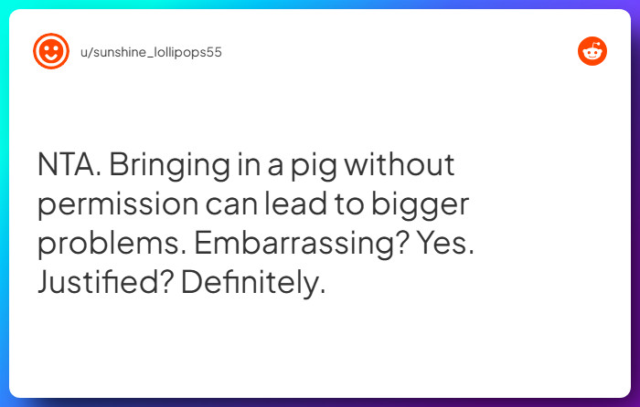 Comment from u/sunshine_lollipops55