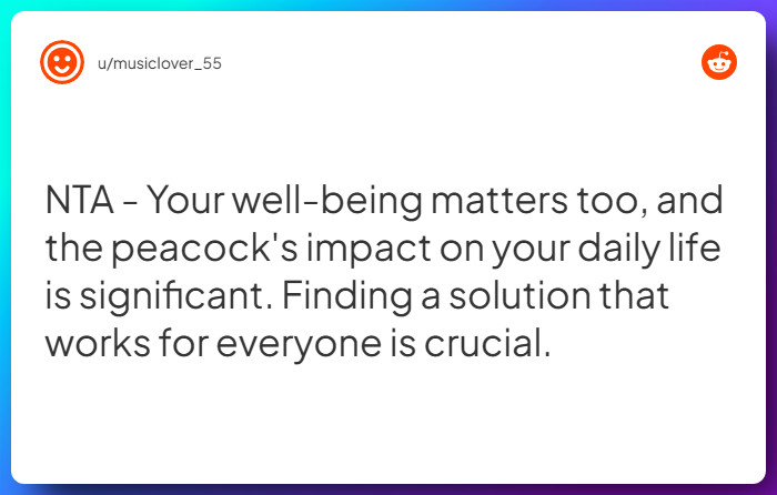 Comment from u/musiclover_55