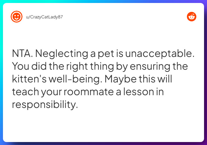 Comment from u/CrazyCatLady87