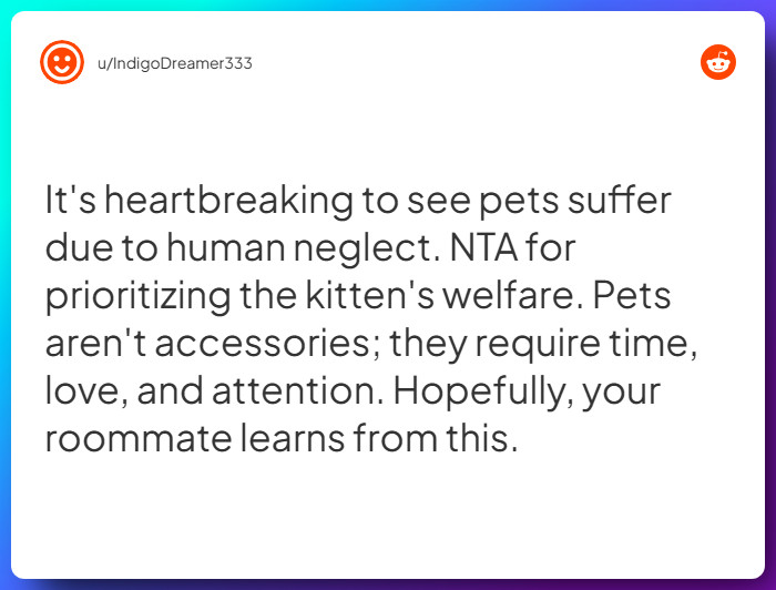 Comment from u/IndigoDreamer333