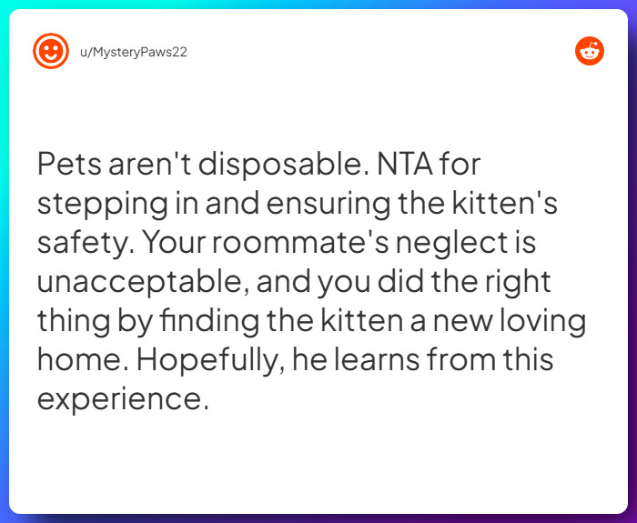 Comment from u/MysteryPaws22