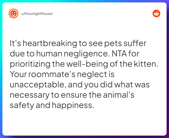 Comment from u/MoonlightMouser