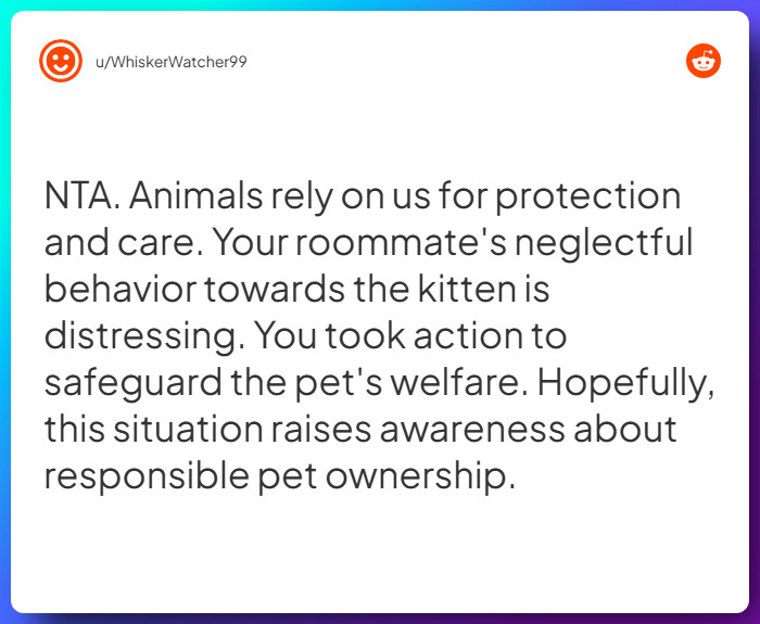 Comment from u/WhiskerWatcher99